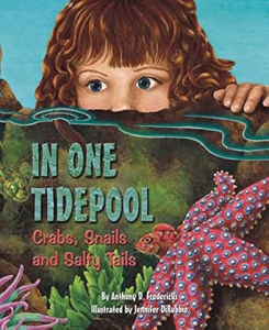 a book about tidepools