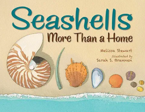a picture book about seashells