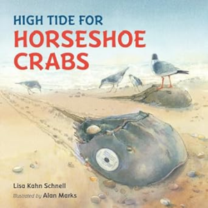 a children's book about horseshoe crabs