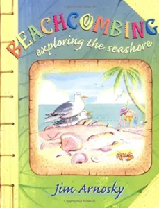beachcombing - a picture book about nature exploration